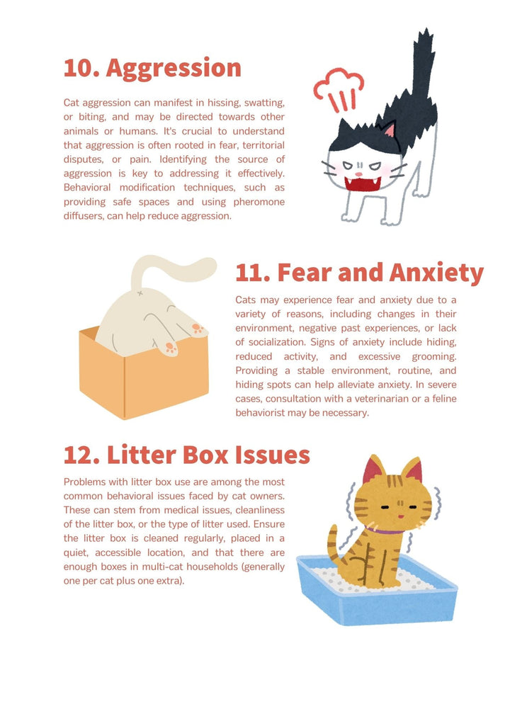 30 Ways to Understand Your Cat - Momomi