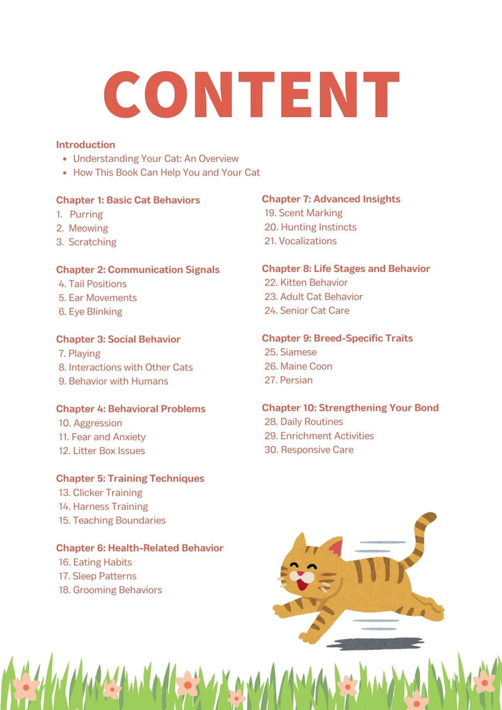 30 Ways to Understand Your Cat - Momomi