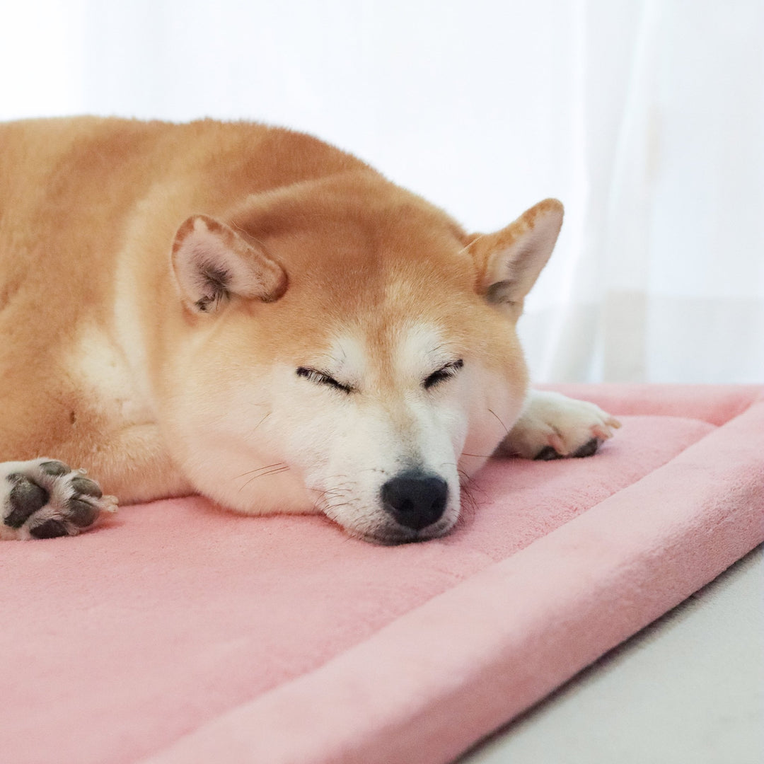 Momomi® Pet Mat - Momomi