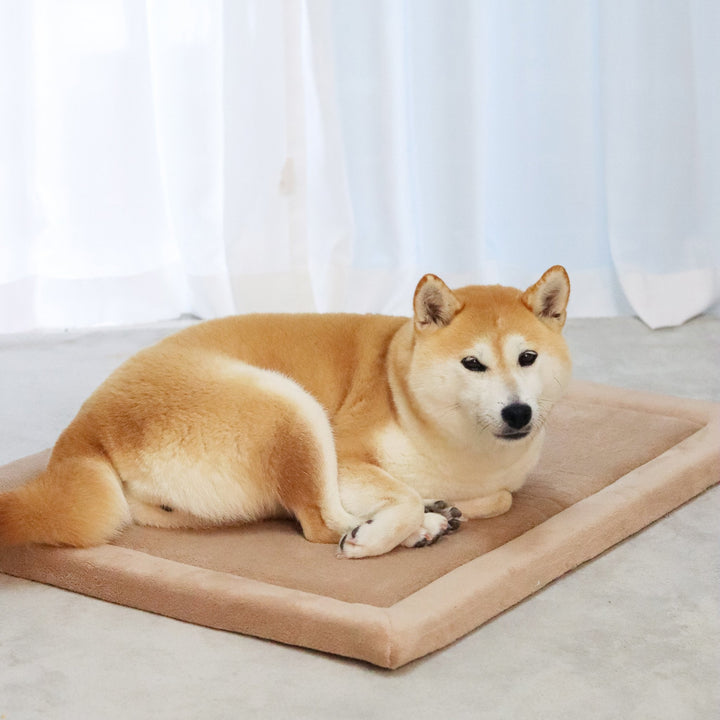 Momomi® Pet Mat - Momomi