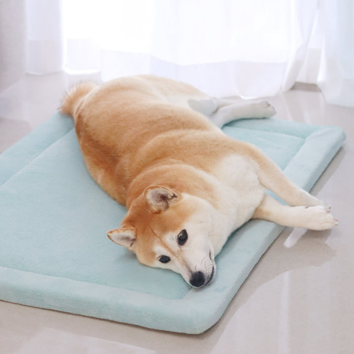 Momomi® Pet Mat - Momomi
