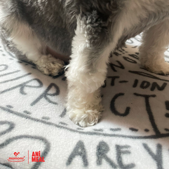 Momomi® x ANiMEAL Pet Mat - Momomi