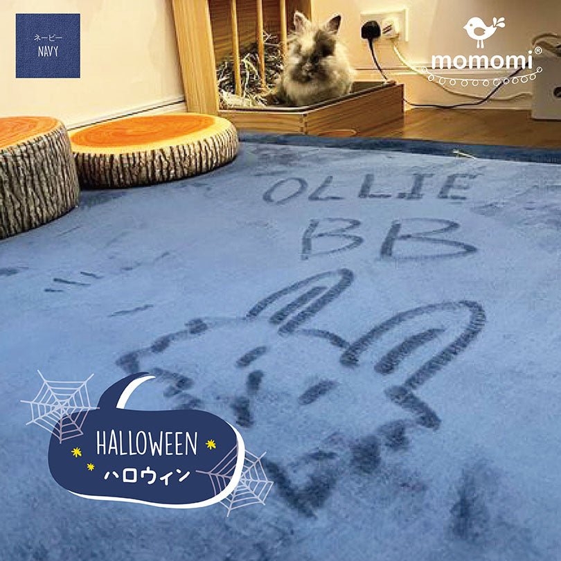 Got your Halloween costume this year? - Momomi