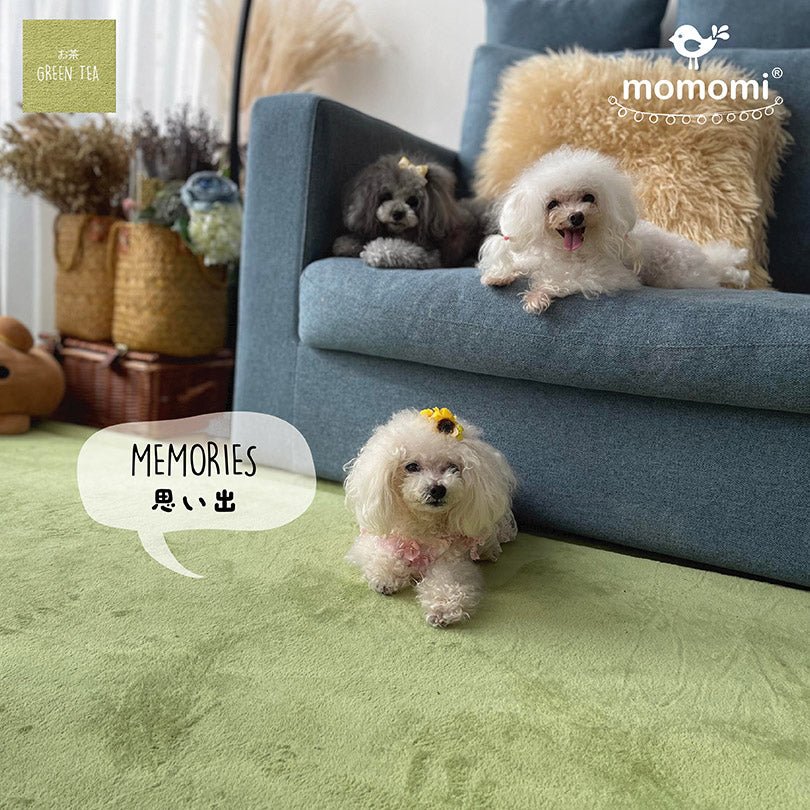 Home sweet home - Momomi