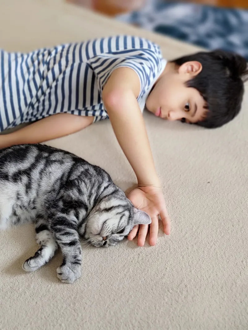 When Baby Meets Kitty: Creating a Safe, Happy Space for Both