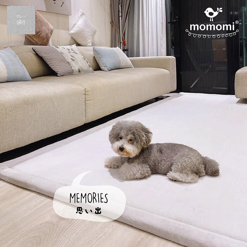 Our playful dog - Momomi