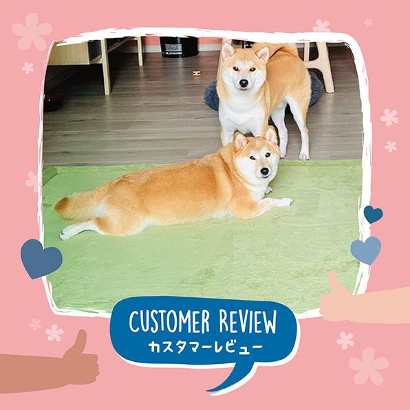 The Momomi Soft Touch Tatami Mat isn’t just for playtime - Momomi