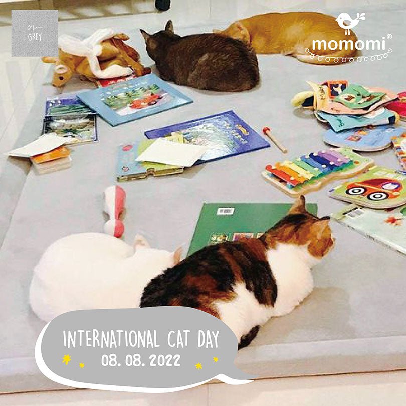 When baby meets kitty - Momomi
