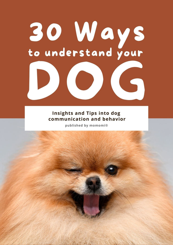 30 Ways to Understand Your Dog - Momomi
