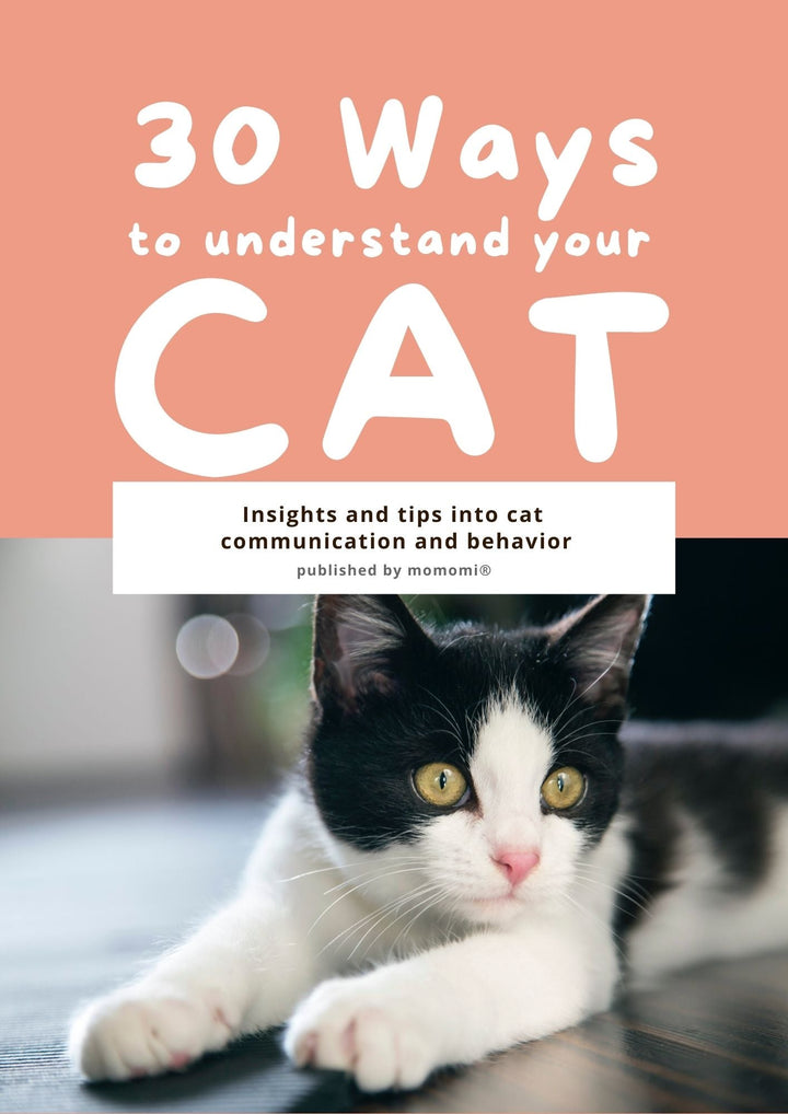 30 Ways to Understand Your Cat - Momomi